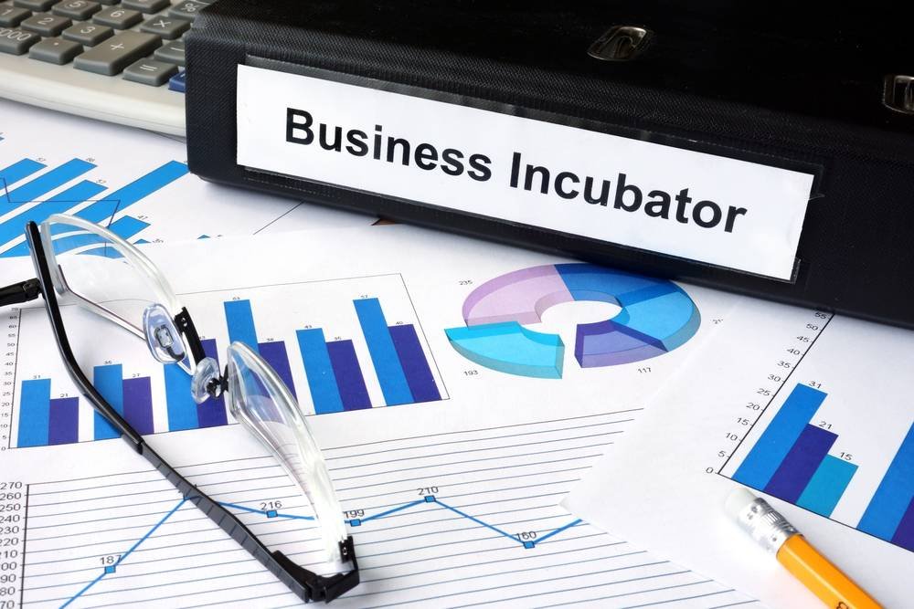 Entrepreneurial and Managerial Development of SMEs through Incubators